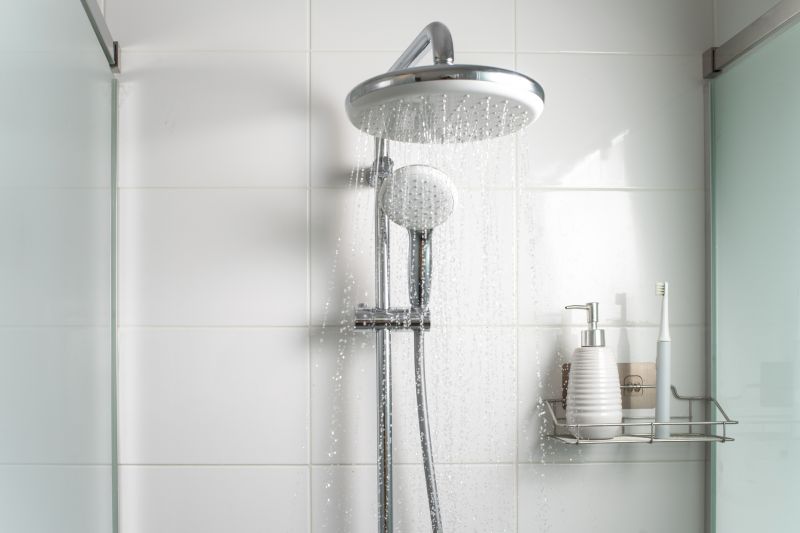 Rainfall Showerhead and Niche Storage